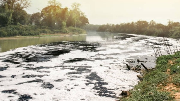 Lebih mencengangkan lagi, 1,4% dari total sungai dunia ternyata menyimpan kadar antibiotik yang sangat tinggi, berpotensi membahayakan sekitar 750 juta orang, terutama di wilayah yang masih menggunakan air sungai tanpa diolah sebagai sumber minum.