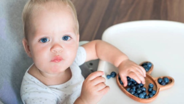 Sebuah penelitian yang dipublikasikan di jurnal Nutrients menemukan bahwa bayi yang rutin mengonsumsi bubuk blueberry cenderung memiliki gejala alergi yang lebih sedikit sekaligus menunjukkan keseimbangan sistem imun yang lebih baik.