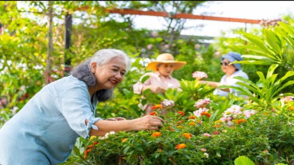 Ilustrasi berbagai hobi sehat seperti berkebun, musik, olahraga, seni, dan aktivitas sosial.