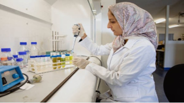 Seorang peneliti sedang bekerja di laboratorium Prof. Alon Monsonego di Universitas Ben-Gurion, tempat di mana temuan mengenai sel T pembantu ini dikembangkan