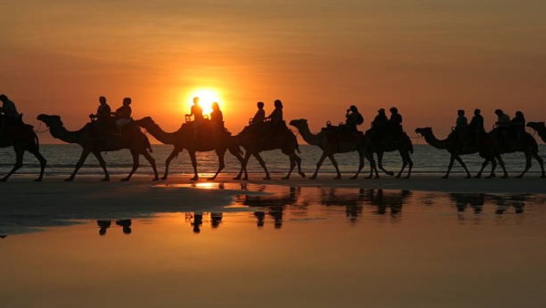 Unta berjalan menyusuri Cable Beach, Australia, dengan latar matahari terbenam yang ikonik.