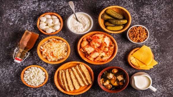 Ilustrasi berbagai makanan fermentasi seperti kimchi, yogurt, kombucha, dan tempe yang kaya probiotik untuk kesehatan usus.