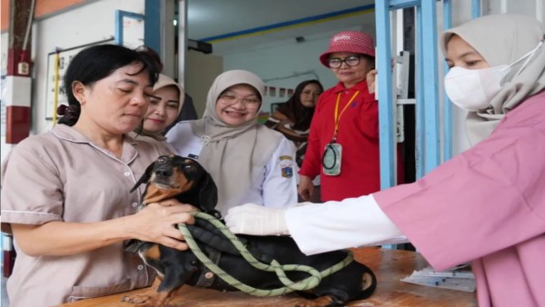 Suku Dinas Ketahanan Pangan, Kelautan dan Pertanian (Sudin KPKP) Jakarta Timur melakukan vaksinasi terhadap hewan penular rabies (HPR) di Sekretariat RW 09 Kelurahan Duren Sawit, Duren Sawit, Jakarta Timur, Rabu (19/8/2026). (ANTARA/HO-Sudin KPKP Jakarta Timur).