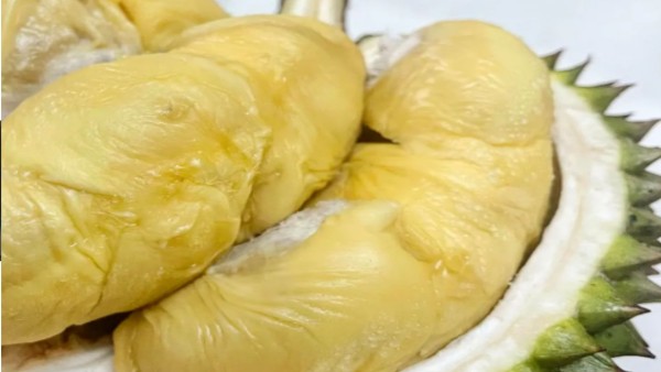 DURIAN