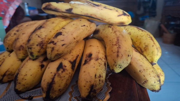 Pisang Barangan
